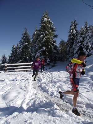 zakopane.JPG