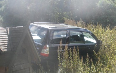 w_pokrzywach.JPG (79.82 KiB) Przejrzano 557 razy w_pokrzywach.JPG