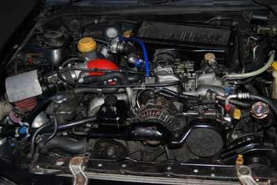 DSC_0224.JPG
