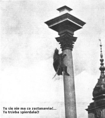 zygmunt.jpg