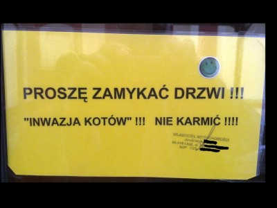 inwazja_kotow.jpg