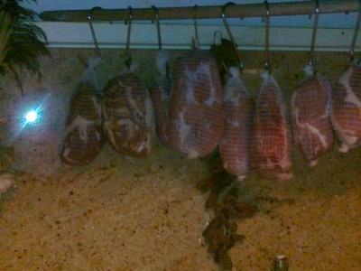 20120406301.jpg