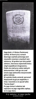 350912072.jpg (136.41 KiB) Przejrzano 549 razy 350912072.jpg