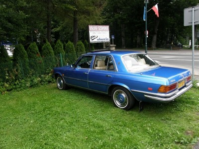 mesio 2 edit.jpg (246.39 KiB) Przejrzano 471 razy mesio 2 edit.jpg