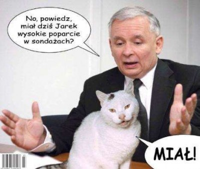 zdjęcie.JPG