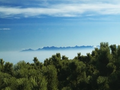 DSCF7080.jpg (268.63 KiB) Przejrzano 509 razy DSCF7080.jpg