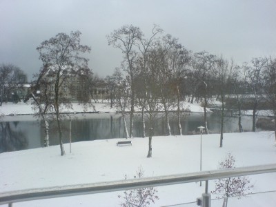 DSC00993.jpg