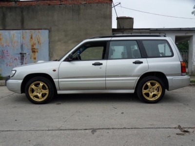 FORESTER 2.jpg
