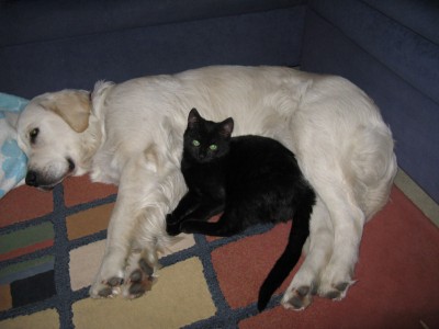 roman&pieska.JPG