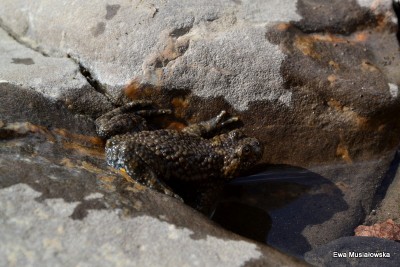 DSC_0448.jpg